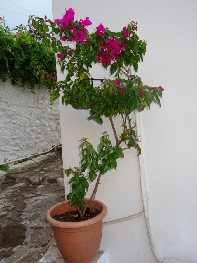 Fotis House Βίλα Koróni Εξωτερικό φωτογραφία